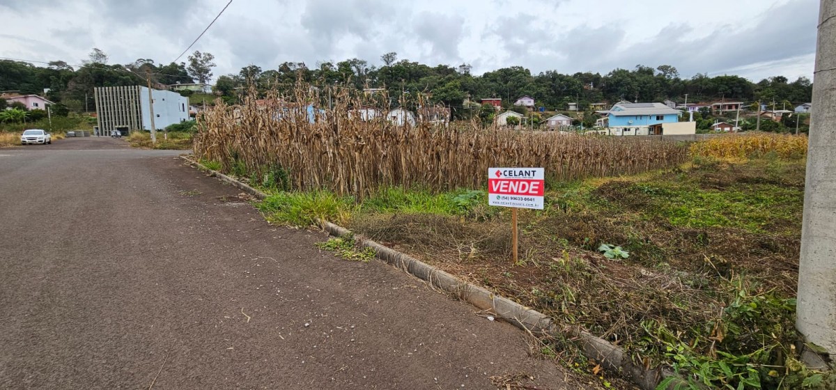 Terreno Urbano