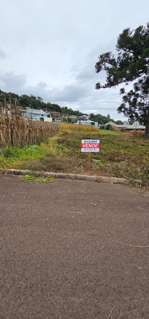 Terreno Urbano