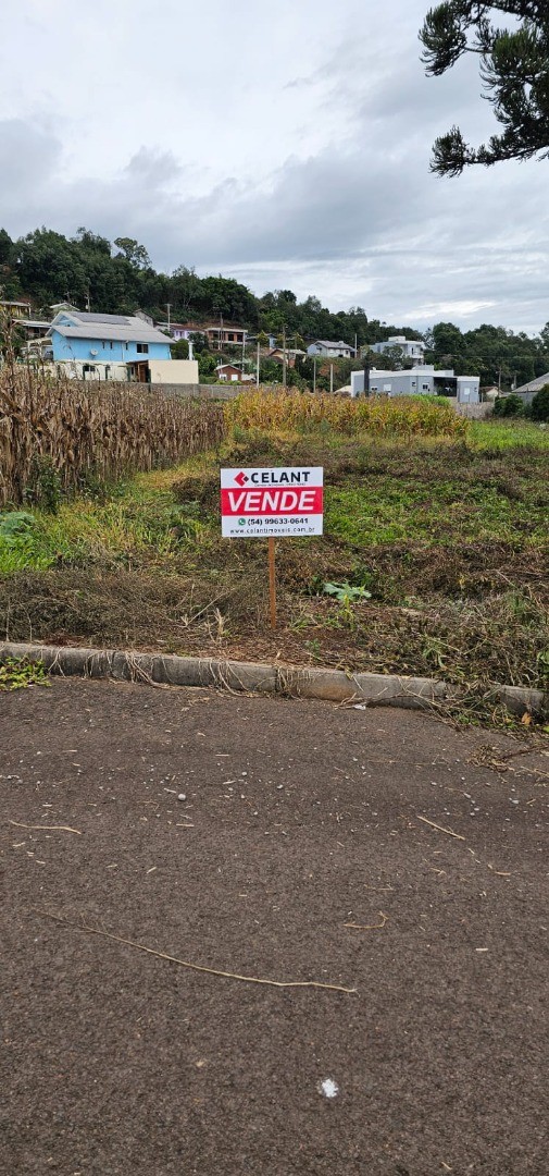 Terreno Urbano