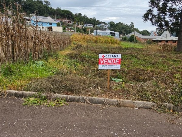 Terreno Urbano