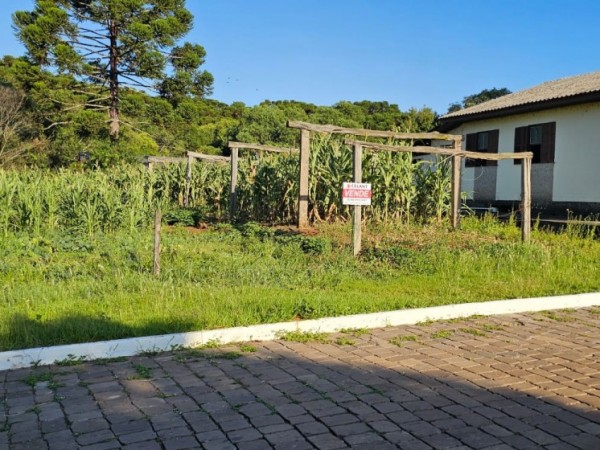 Terreno Urbano