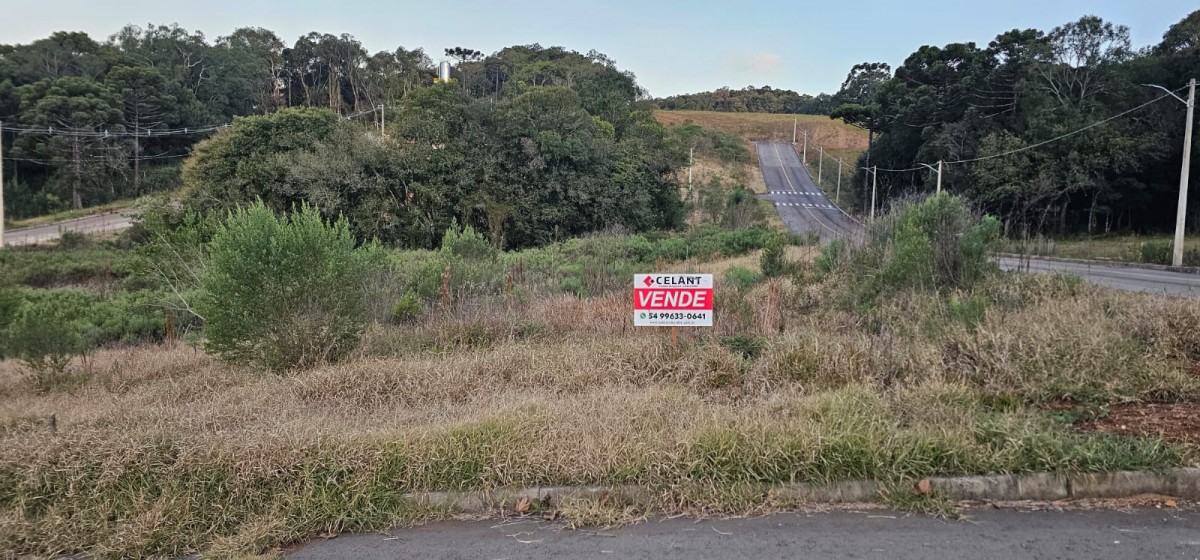 Terreno Urbano
