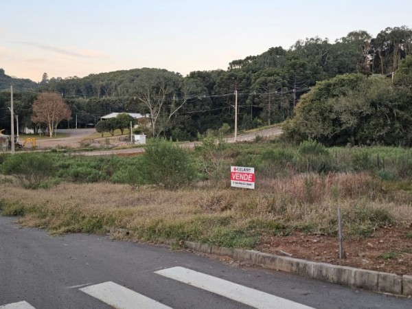 Terreno Urbano